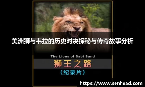美洲狮与韦拉的历史对决探秘与传奇故事分析