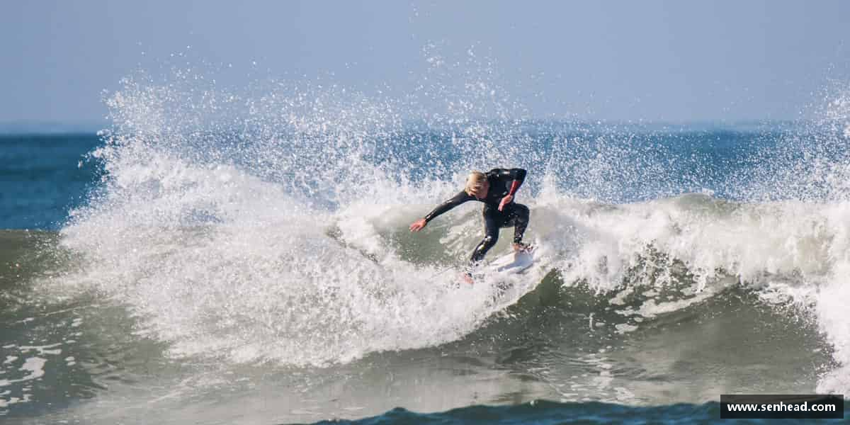 发现emc易倍·体育